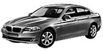 BMW F10 P0BAA Fault Code